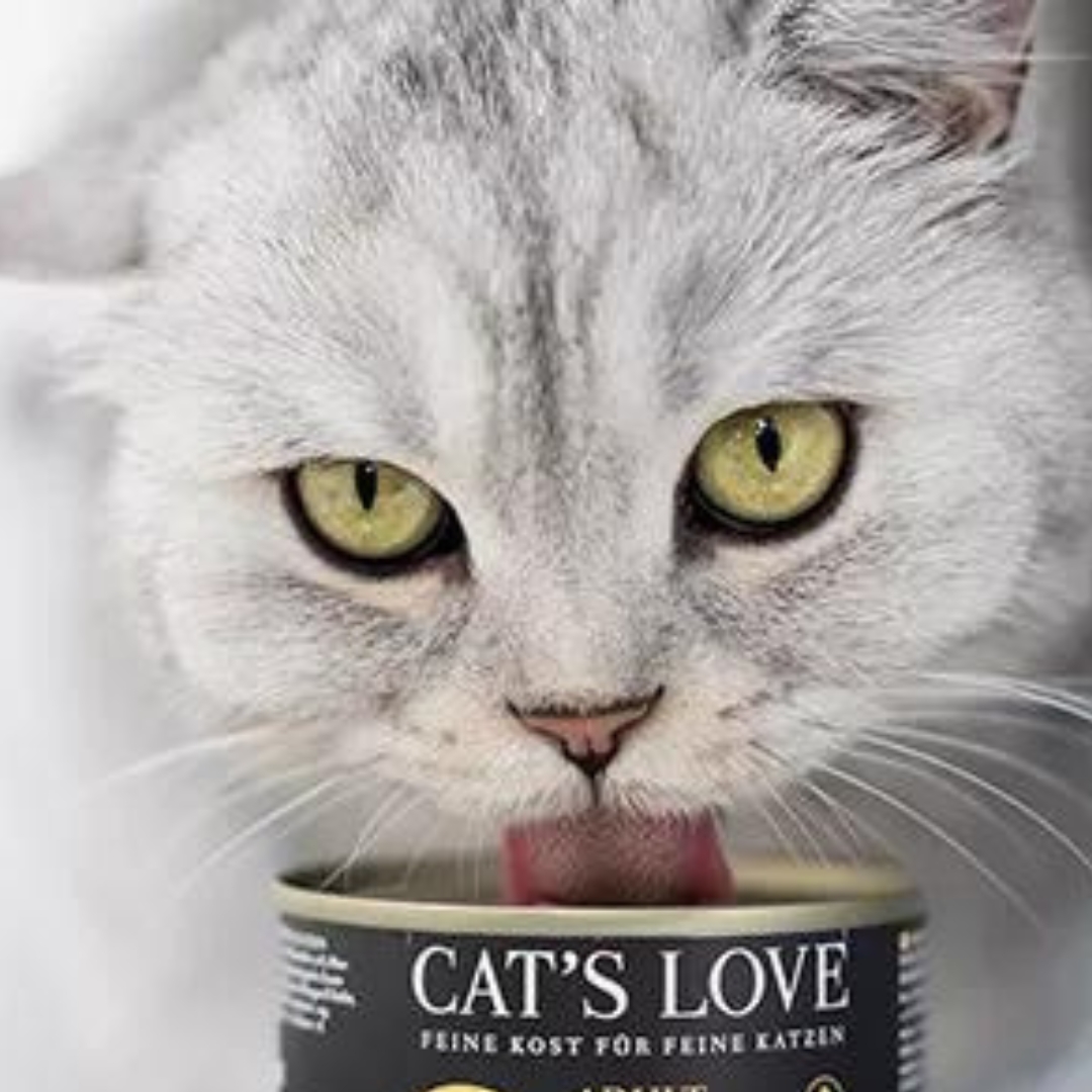 Cat´s Love latas comida húmeda para gatos